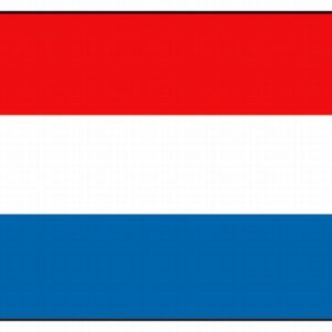 Vlag Nederland, 20 x 30 cm