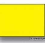 Gele vlag 30 x 45 cm