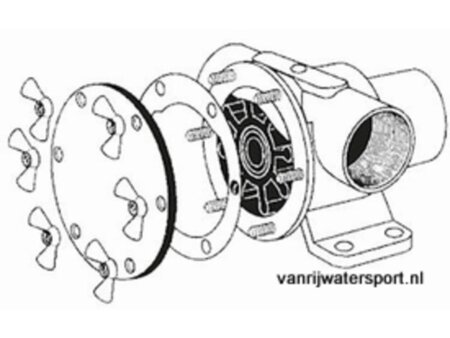 Set RVS vleugelmoeren voor Johnson F35B