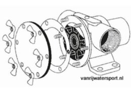 Set RVS vleugelmoeren + stelschroeven voor F7B