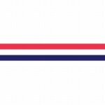 Wimpel Nederland 250 cm