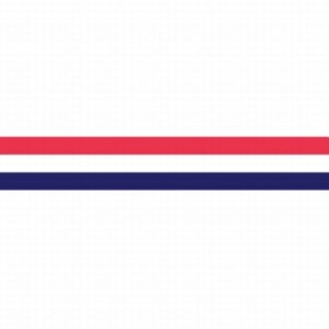 Wimpel Nederland 250 cm