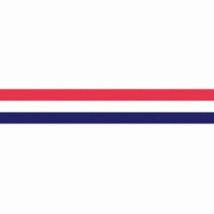 Wimpel Nederland 350 cm