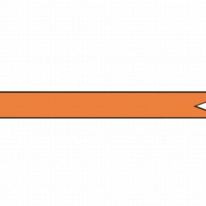 Wimpel oranje 180 cm