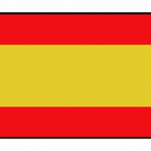 Vlag spanje 30x45
