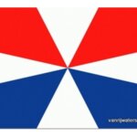 Geuzenvlag 20 x 30 cm