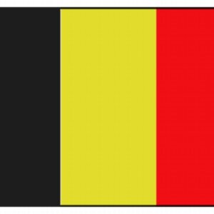 Vlag Belgie met kroon 40 x 60 cm