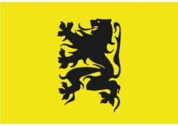 Vlag Vlaanderen 30 x 45 cm