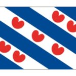 Provincievlaggen Friesland 50 x 75 cm