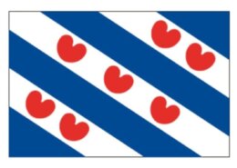 Provincievlag Friesland 20 x 30 cm