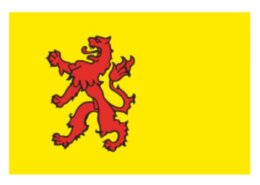 Provincievlag Zuid Holland 30x 45 cm