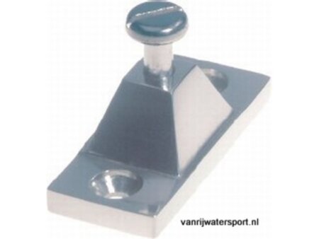 Buiskap zijmontage RVS 316 22 x 51 mm