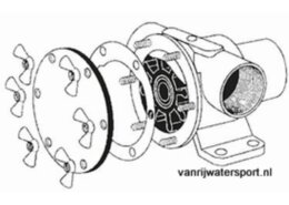 Set RVS vleugelmoeren + stelschroeven voor F7B