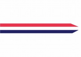 Wimpel Nederland 250 cm