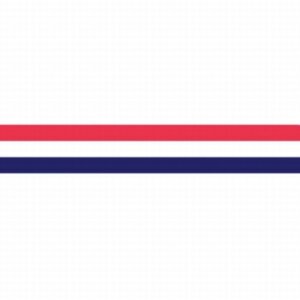 Wimpel Nederland 250 cm