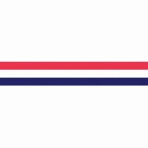 Wimpel Nederland 350 cm