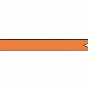 Wimpel oranje 180 cm