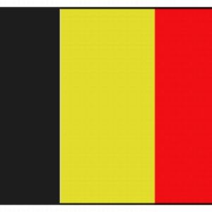 Vlag Belgie 20 x 30 cm