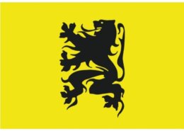 Vlag Vlaanderen 20 x 30 cm