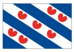 Provincievlag Friesland 20 x 30 cm
