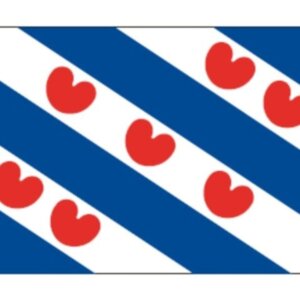 Provincievlag Friesland 100 X 150 cm