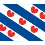 Provincievlaggen Friesland 30 x 45 cm