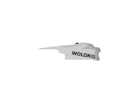 Wolong Flowstar lithium-ion accu
