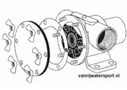 Set RVS vleugelmoeren voor Johnson F35B
