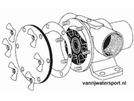 Set RVS vleugelmoeren voor Johnson F35B