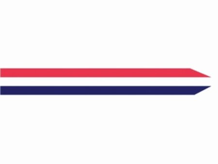 Wimpel Nederland 350 cm