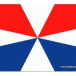 Geuzenvlag 30 x 45 cm