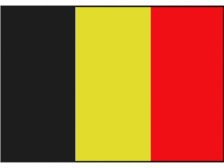 Vlag Belgie 30 x 45 cm