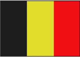 Vlag Belgie 40 x 60 cm