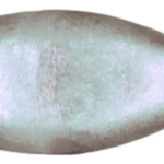 Magnesium anode Mercruiser/Sterndrive/Mercury outboard, Bravo 3 (>2004), prop nut