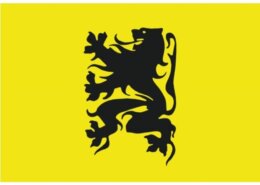 Vlag Vlaanderen 20 x 30 cm