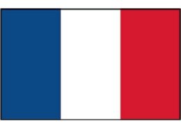 Vlag Frankrijk 20x30