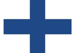 Seinvlag X 30x36